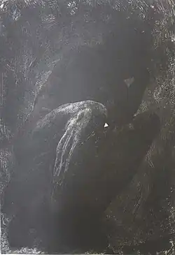 The Rodin Garden Sculptures