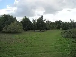 Rowley Lodge Field, Arkley