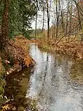 The source of the Royal River at Sabbathday Lake in New Gloucester, Maine, looking south towards the lake