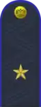 Colonel