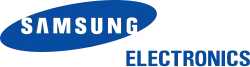 Samsung Electronics logo, used from 1 November 1993 until replaced in 2013, designed by Constance Birdsall & Joe Finocchiaro for Lippincott & Margulies