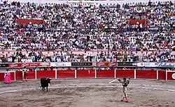 Crowd watches a bullfight in Mexico, 2010.