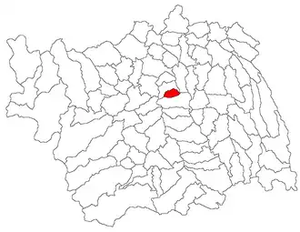 Location in Bacău County
