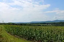 Scenery of Falls Township from Post Hill