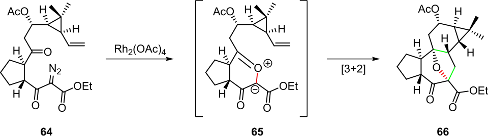 Scheme 13. Rhodium(II)-carbenoid-initiated cascade in the synthesis of a tigliane