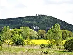 Schloss Town, Elderberg Hill