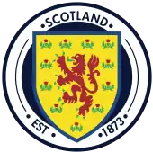 Shirt badge/Association crest