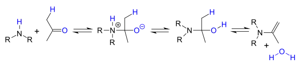enamine formation by reaction of amine with carbonyl