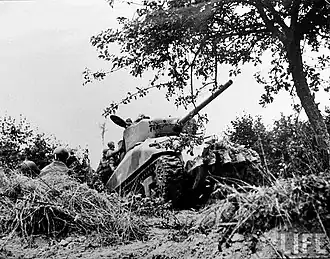 A tank moves through a partially destroyed hedgerow. A tree dominates the upper-right of the photograph