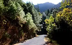 Shilly sanctuary area Solan