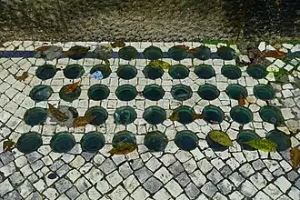In Portuguese pavement
