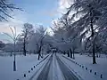 Driveway through the park after snowfall