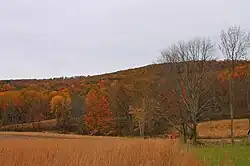 Sorber Mountain in Lake Township