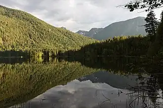 Lake with a tree-covered shore on the far side of the lake and a mountain in the distance