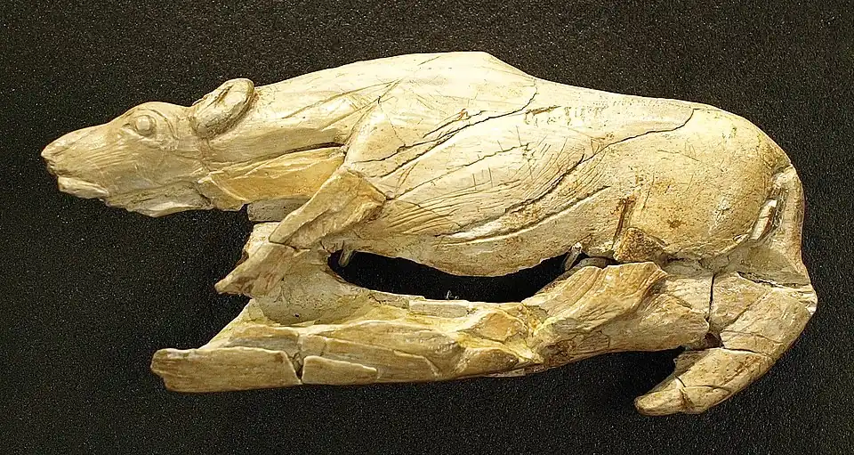 Creeping Hyena, c. 12–17,000 BP, mammoth ivory, found in La Madeleine, France