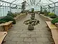 Greenhouse interior