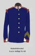 Stabsfeldwebel (ungarische Uniform) nach 1913 (1st Sergeant, Hungarian Uniform)