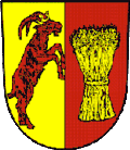 Coat of arms of Starý Jičín