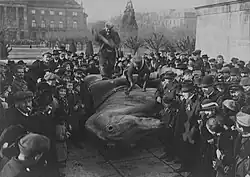 The equestrian statue of Emperor Wilhelm I on Place de la République was taken down by revolutionary workers and soldiers on 21 November 1918.
