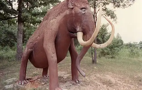 Woolly mammoth (1988 photograph).