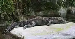 Tierpark Hellabrunn, Germany