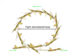Su-37 performing the Kulbit maneuver