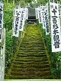 Moss cover stairs