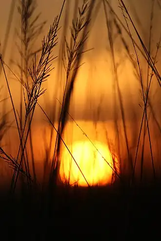 Sunset near Kaliveli lake