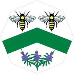 Lozenge of arms of the Baroness Swanborough[6]