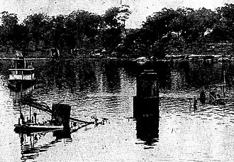 Kaludah on the mud flats at Tarban Creek