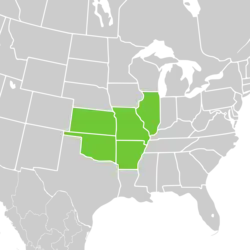 Symphyotrichum anomalum native distribution: US — Arkansas, Illinois, Kansas, Missouri, and Oklahoma.