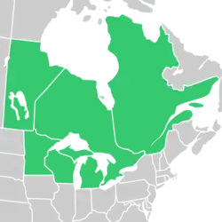 Symphyotrichum robynsianum native distribution map: Canada — Manitoba, Ontario, and Québec; US — Michigan, Minnesota, and Wisconsin.