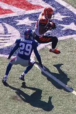 Sam Madison and Cincinnati Bengals #84 T.J. Houshmandzadeh, 21 September 2008.