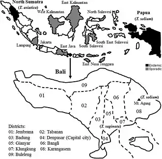 Map showing areas where T. solium is endemic