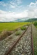 Decommissioned railway tracks by the Huadong Highway in Ruisui Township