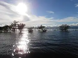 View of Tanguar Haor