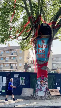 Protest materials on and around the tree as building work is ongoing in the background.