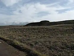 The Hill of the Whale