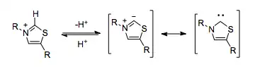 Deprotonation of thiazole moiety in thiamine pyrophosphate results in ambivalent chemical reactivity