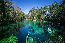 Photo from the springs featuring clear turquoise water with a kayaker in the foreground. Other kayakers can be seen in the distance at the edges of the springs. Trees with green leaves surround the shoreline.