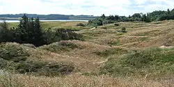 View across the dune heaths of Hanstholm game preserve.