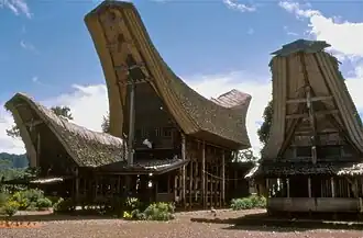 Tongkonan houses of the Toraja people, Sulawesi, Indonesia