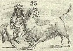 Bullfighting with the capote (cape) from horseback.