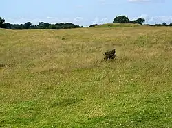 Round barrow on Beacon Hill