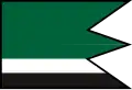 Flag of Turcovce
