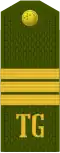 Seržant (Turkmen Ground Forces)[102]