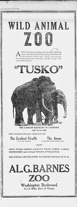 Tusko the elephant 1925