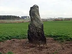 Ty Mawr Standing Stone