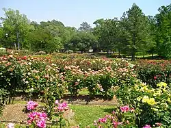 Rose Garden Center (March 2009) in Tyler, Texas