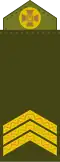 Сержант Serzhant (Ukrainian Ground Forces)[104]